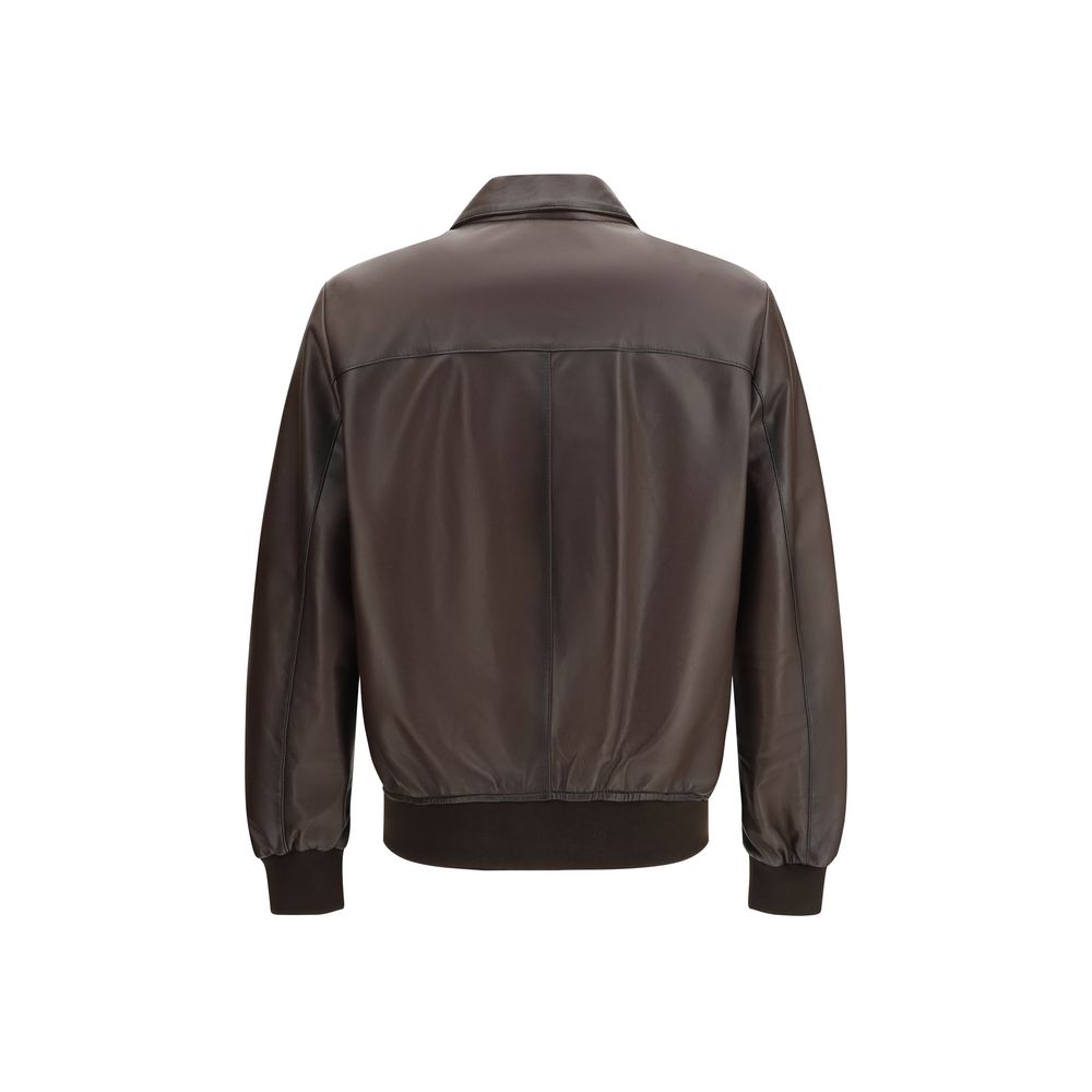 Brown Lamb Ovis Aries Aries Bomber
