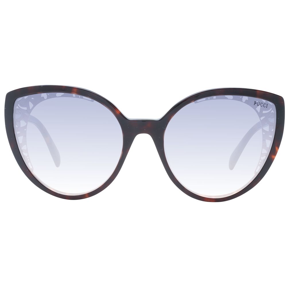 Brown Plastic Sunglasses
