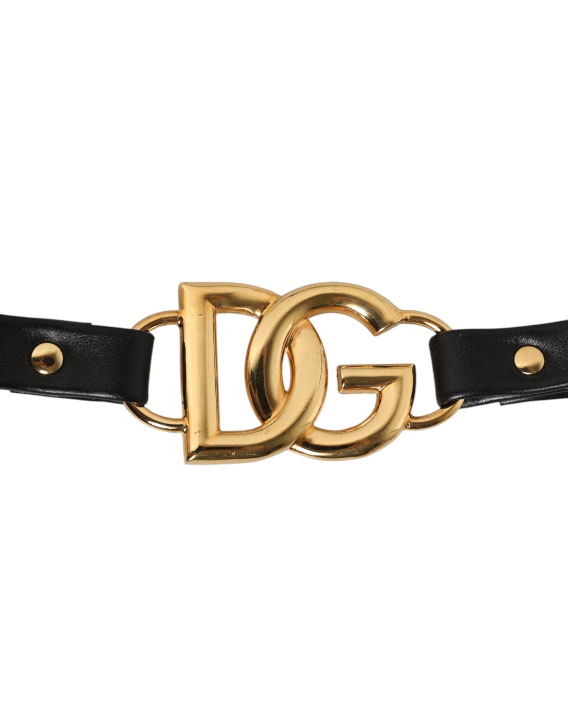 Black Leather Gold Chain Bag Accessory Shoulder Strap